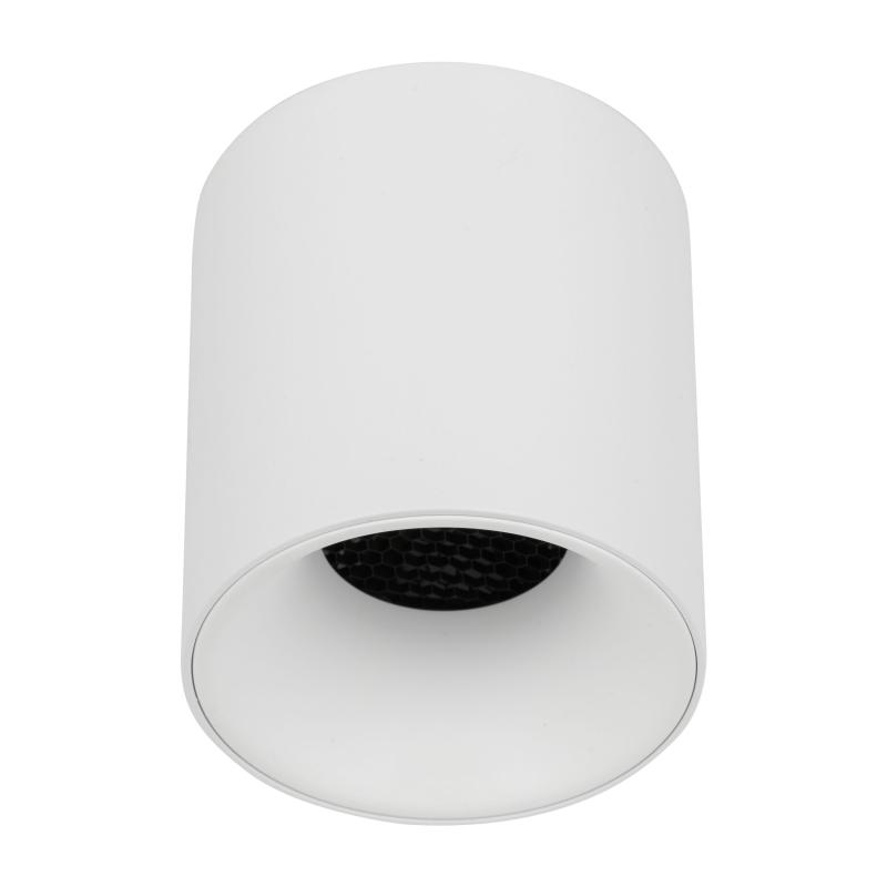 Blaze white CCT 12W